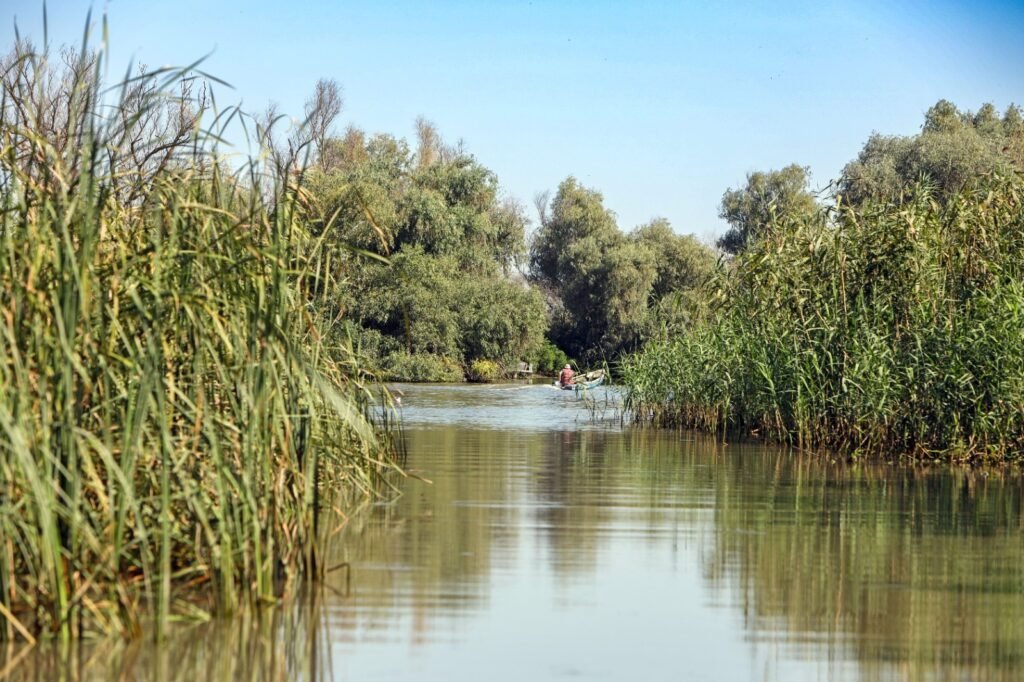 Excursii in Delta Dunarii