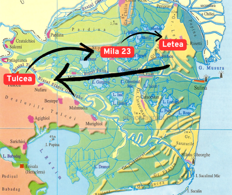 mila23-letea
